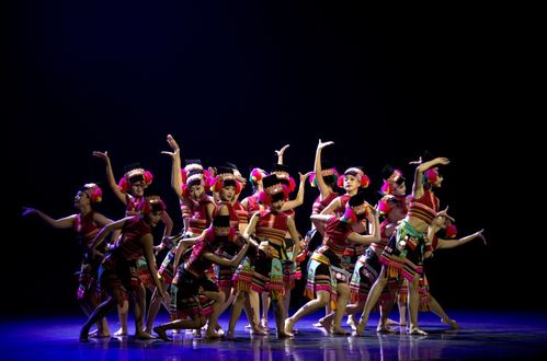紅河州2024年第三屆群眾文化白鷴獎文藝匯演圓滿落幕，展現(xiàn)民族文化藝術新風采